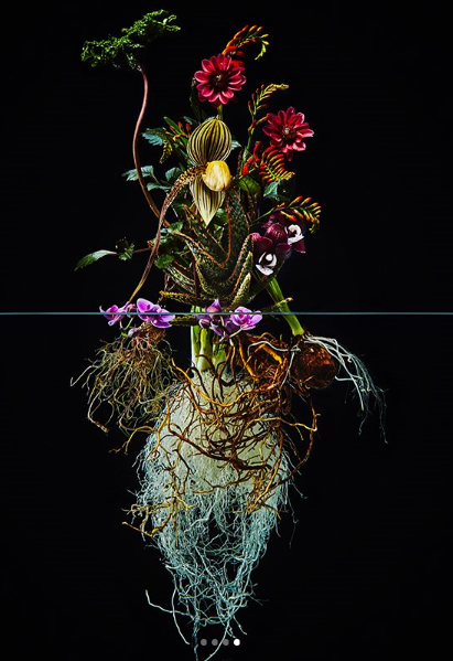 フラワーアーティスト 東信 の花の作品が凄い お値段や教室も紹介する 海斗の手控え
